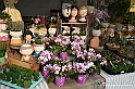 VBS_6691 - FLOREAL Ottobre 2022 - Tre giorni di fiori, piante e bellezza